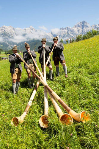 alphorn
