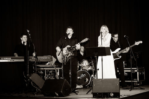 The Vitamins Hochzeit